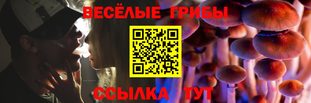 купить   Псилоцибиновые грибы прущие грибы  Вход с VPN  Мытищи  Псилоцибиновые грибы Psilocybine cubensis 